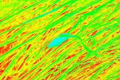 ArtifyWorld_765513 by ArtifyWorld Digital Kunst photo