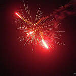 silvester photo